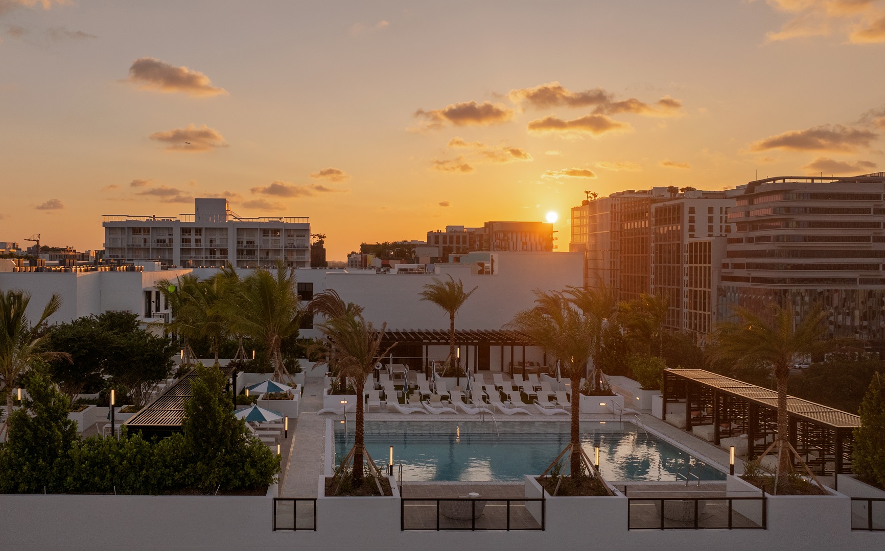 Amara Wynwood - image 5