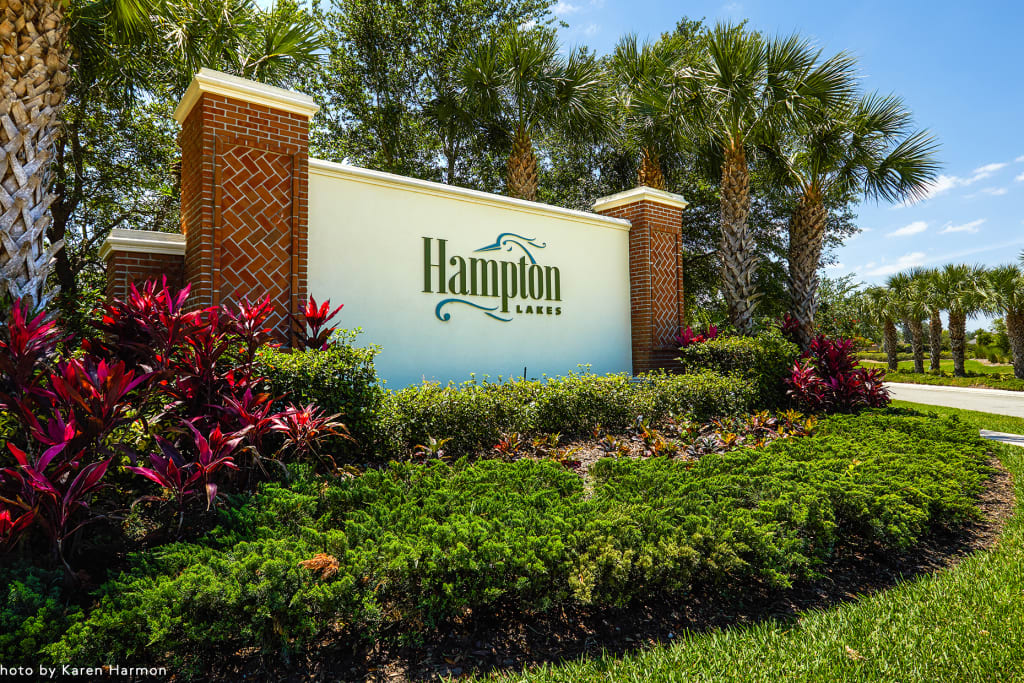 Hampton Lakes at River Hall by Pulte - image 1