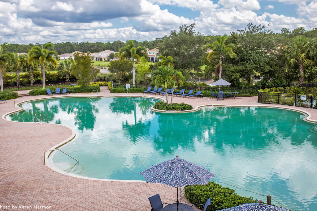 Hampton Lakes at River Hall by Pulte - image 2