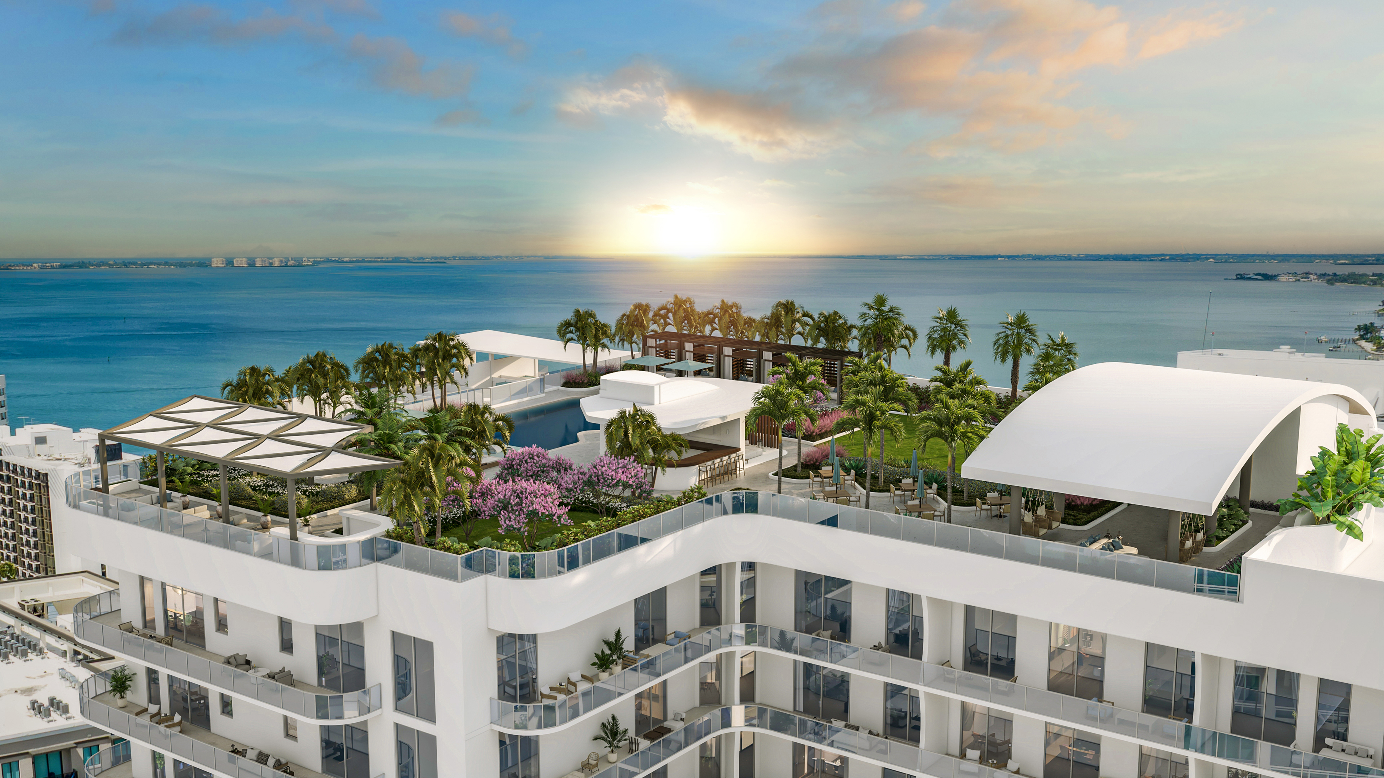 Saravela Sarasota - image 3